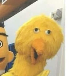 Meet your Posher, Ray